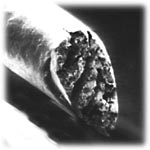 Стрижка горячими ножницами в Воронеже